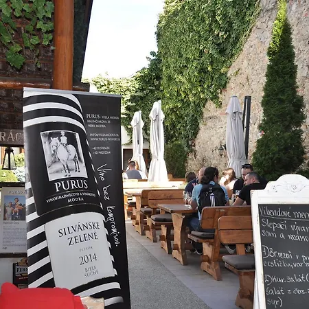 Guest house Club M.k.m. Modra